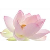 Helis Schasmin's photo