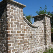 Laura Schurman's photo