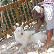 Dana Ron Dykstra's photo