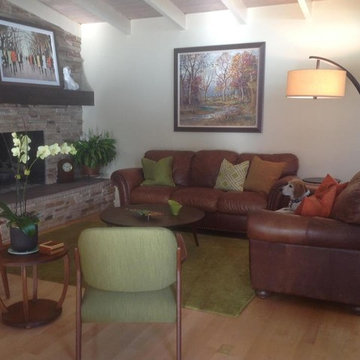 Mid-Century Modern Makeover/Before