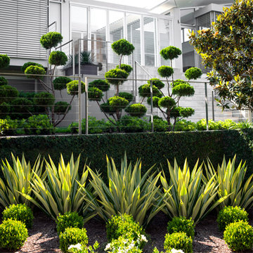 2016 Silver Award - Garden Life