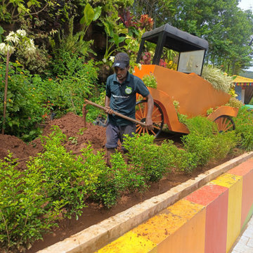 Butterfly Garden Expert in Kerala | Nellickal Nursery® by Anish Nellickal