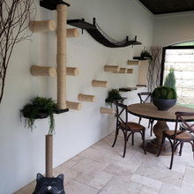 Catio
