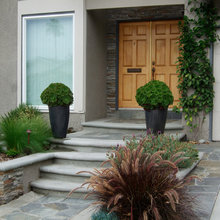 landscape-front