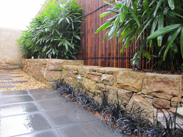 Tropical  by Sydney Landscape Consultants