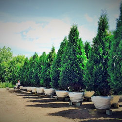 Pontiac Nursery - Products