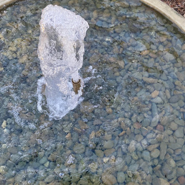 Contemporary Water Garden