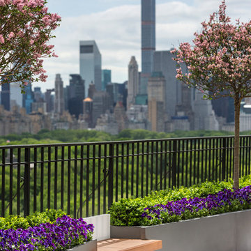 Town and Gardens - Central Park West