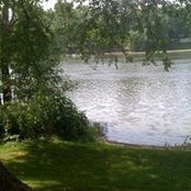 Kathy Strohecker's photo