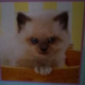 Foto de Bailey Waltemate