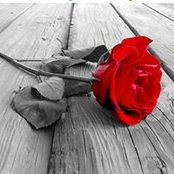 Virginia Howell's photo