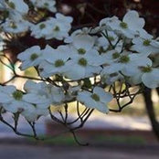 Jack Wood's photo