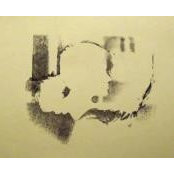 Emily Shepardson's photo
