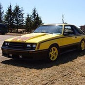 Alex Corkum's photo
