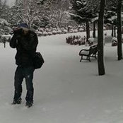 Joe Wuus foto