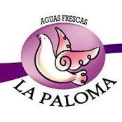 Saul Gonzalez's photo