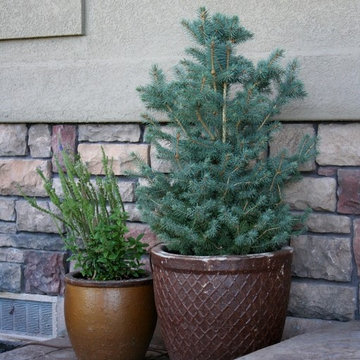 Rustic Planter Pots
