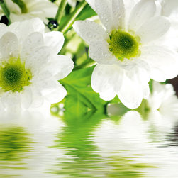 Platin Art's Deco Glass Wall Decor- White Daisy - Wallpaper