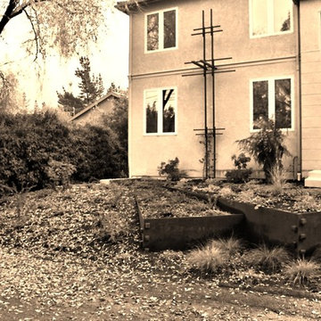 Walnut Creek, CA