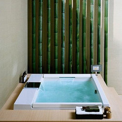 Toto - Toto Neorest bathtub - Bathtubs