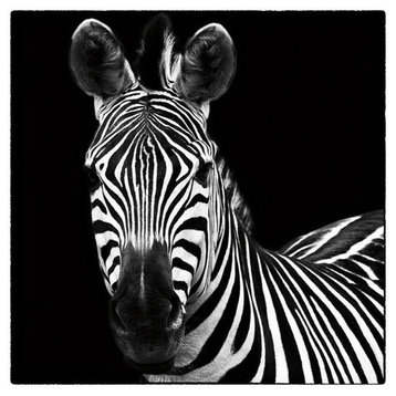 Zebra Ii Fine Art Giant Canvas Print, Black, White, 72"X72"