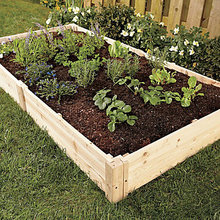 outdoor gardening