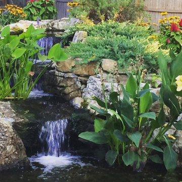 20'x25' Ecosystem pond with wetland filter