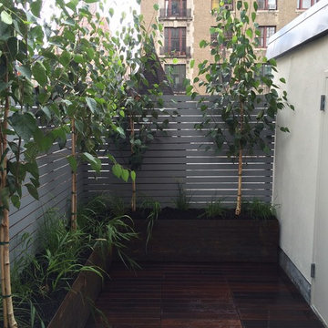 Fence #3 Cedar Plummet