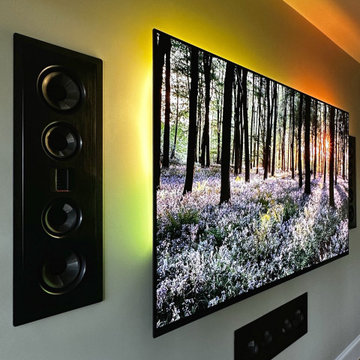Martin Logan Surround Sound