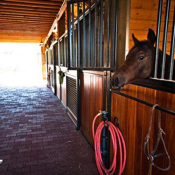 Horse Stalls