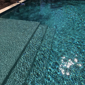Raleigh swimming pool hardscape and landscape