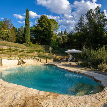 Natural pools landscape - Siena