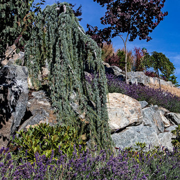 Cliffside Paradise