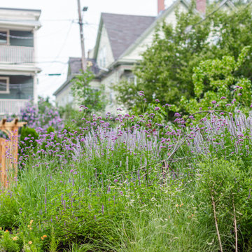 Urban Backyard Meadow