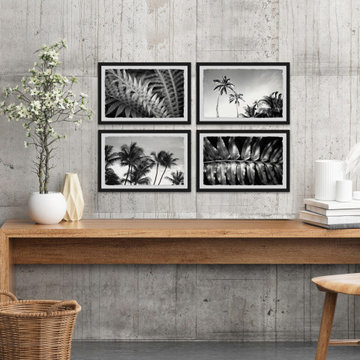 Palm Trees Quadriptych