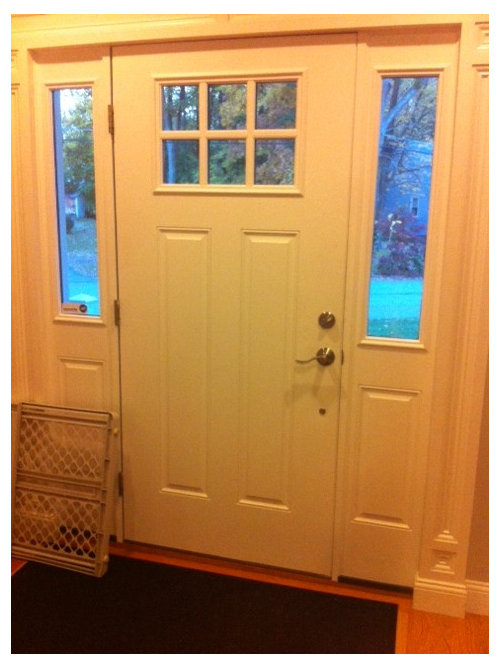 Need Help For My Front Door Sidelights, Ways To Cover Sidelights