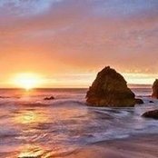 Leila Hope's photo