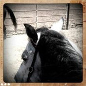 Becky Bazabals foto