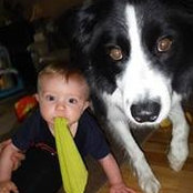 Nikki Bélanger-Turcotte's photo