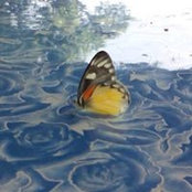 Susze Su's photo