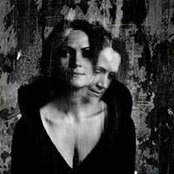 Elena Shchipanova's photo