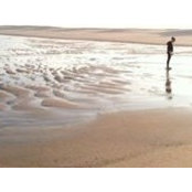 Tracey Cooke's photo