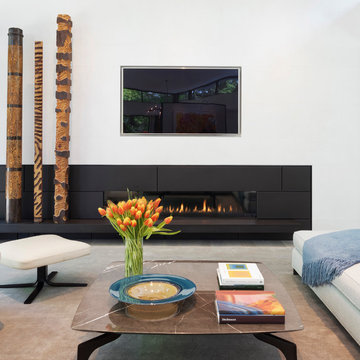 Hearth Details
