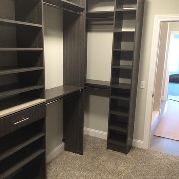 50 shades of gray