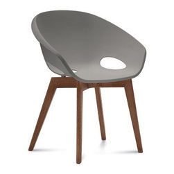 Globe-LG Chair by DomItalia - Dining Chairs