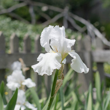 My Houzz: Eclectic English Cottage in the Hollywood Hills