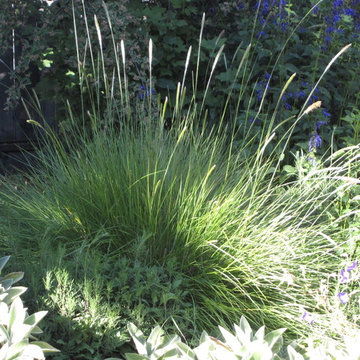 Edible and Natives in Oakland