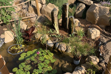 Modelo de jardín de secano pequeño en verano en patio trasero con estanque, exposición total al sol, piedra decorativa y con madera