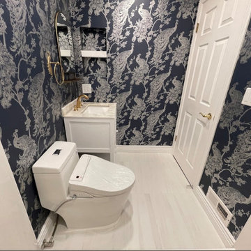 Danville Guest Bathroom remodel