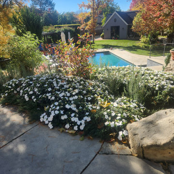 1 of A Kind Landscape Design, Construction, & Boutique Maintenance